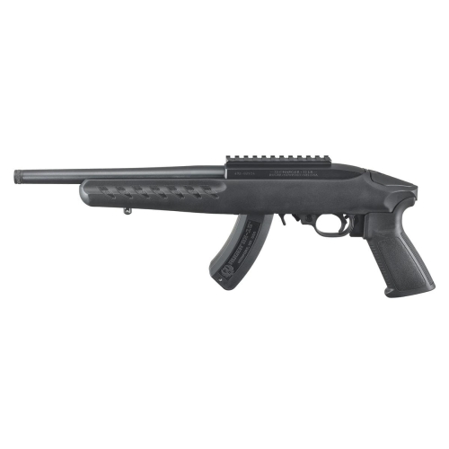 ruger-22-charger-4923-.jpg