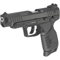 ruger-sr22-long-3620--2.jpg