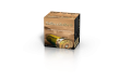 box-special-slug-magnum-v051322.png