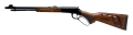 Karabin Savage Revel DLX kal.22LR 1.jpg