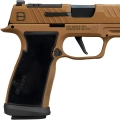 sig-sauer-p365-axg-dh3 (8).jpg
