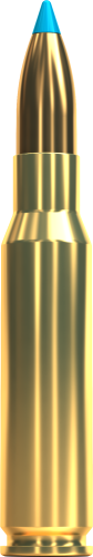 308-win-txrg-v342292-110-grs.png