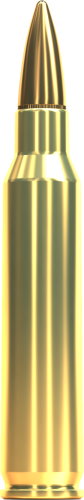 223-rem-fmj-v341872-55-grs.png